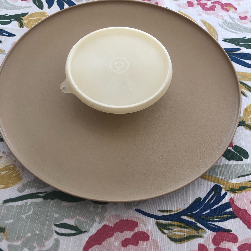Tupperware “Dip & Serve” tray